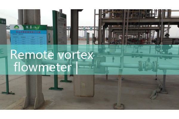 Remote transmission vortex flowmeter